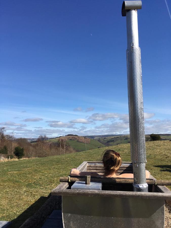 Belan Bluebell Woods Shepherds Hut Llanidloes Kültér fotó