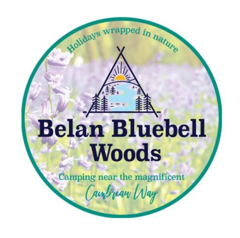 Belan Bluebell Woods Shepherds Hut Llanidloes Kültér fotó